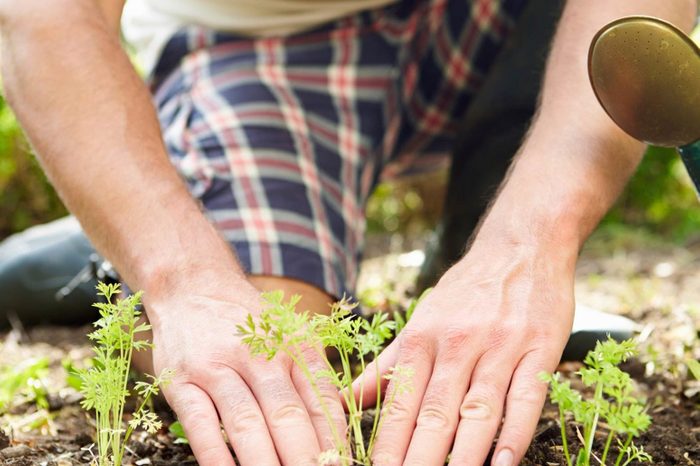 07_Immune_Surprising_Health_benefits_Gardening