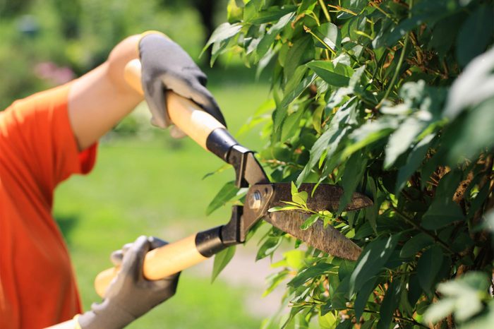 08_Grip_Surprising_Health_benefits_Gardening