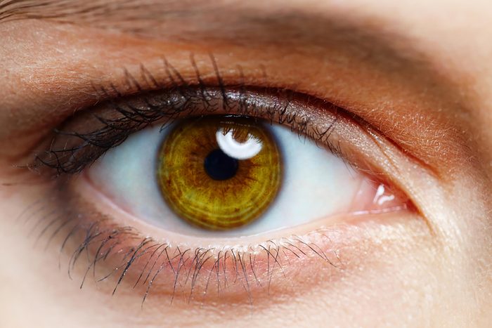 brown eye close up