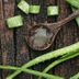 8 Trusted Home Remedies for Itchy Skin