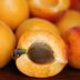 12 Foods That Naturally Boost Collagen for Skin That Looks Years Younger