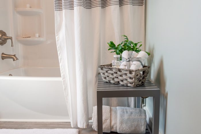 bathroom shower curtain