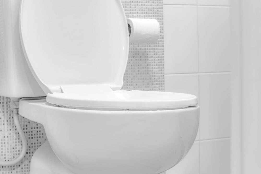 white toilet bowl
