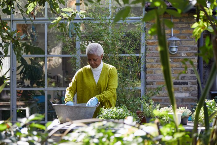 senior woman gardening