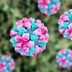 A Highly Contagious Stomach Bug Is Surging in the USâ€”Hereâ€™s Where It's Worst