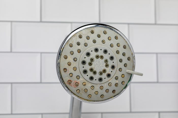 Dirty shower head in bathroom.